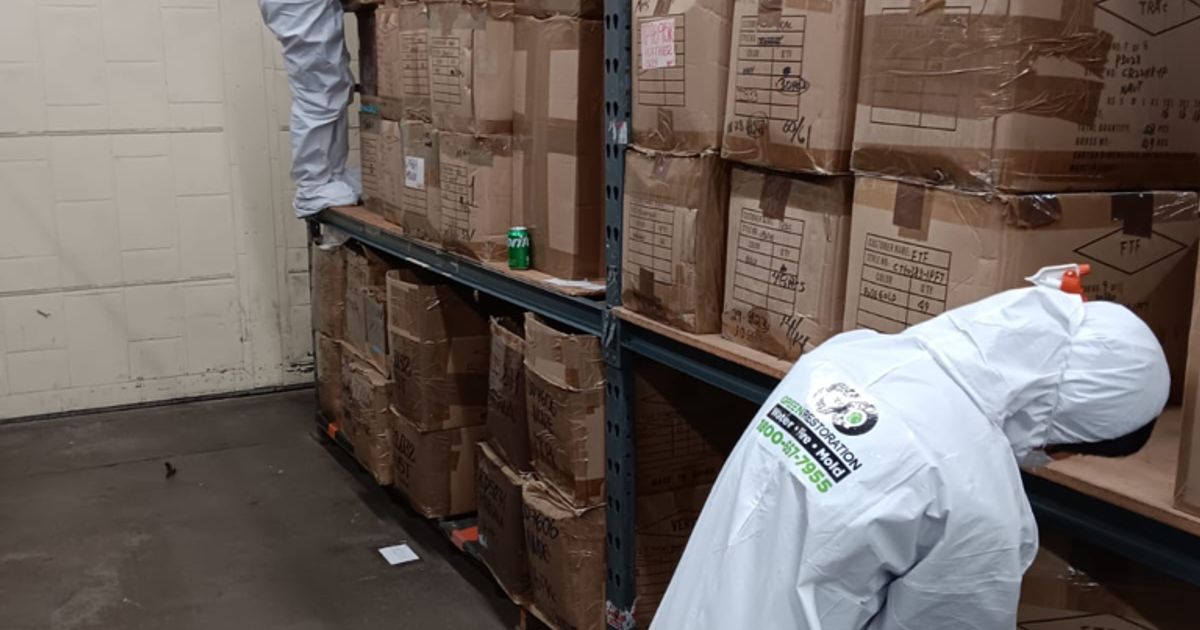 fire damage restoration work by Go Green Restoration