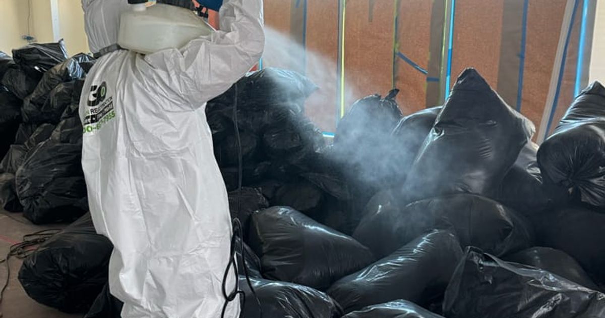 mold restoration work by Go Green Restoration