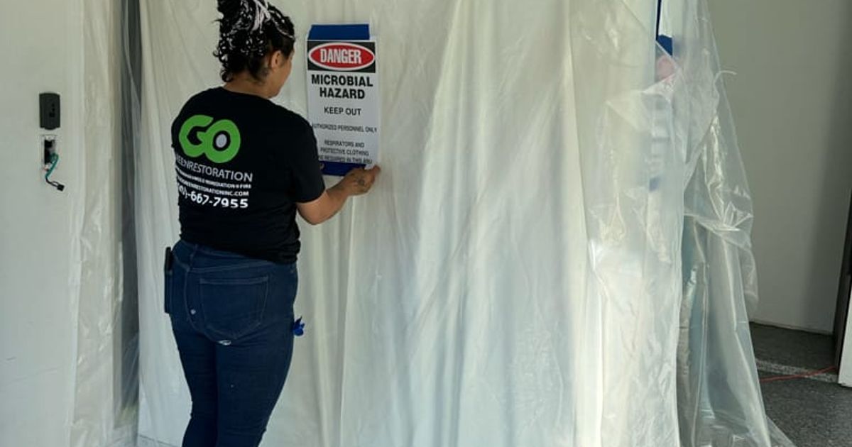 mold restoration work by Go Green Restoration