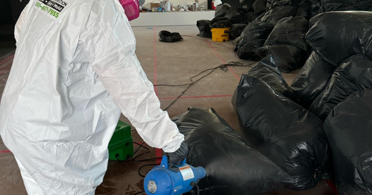 mold restoration work by Go Green Restoration