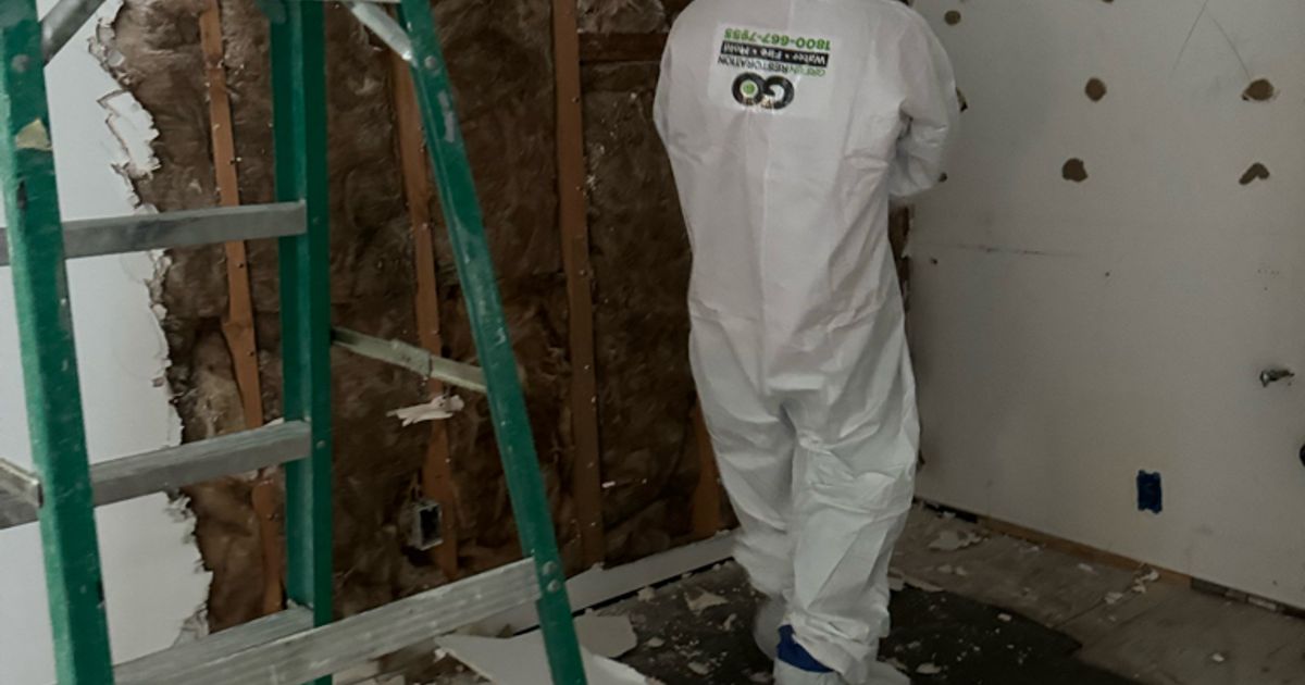 mold restoration work by Go Green Restoration