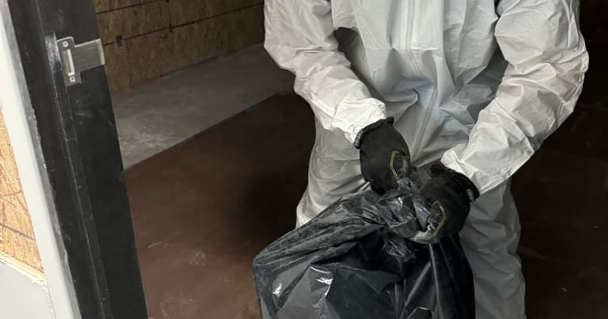 mold restoration work by Go Green Restoration