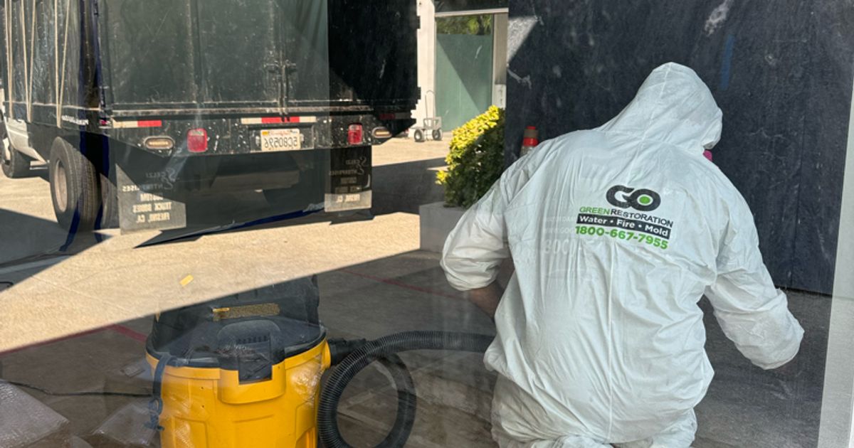 mold restoration work by Go Green Restoration