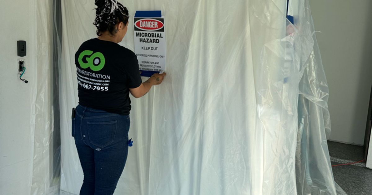 mold restoration work by Go Green Restoration