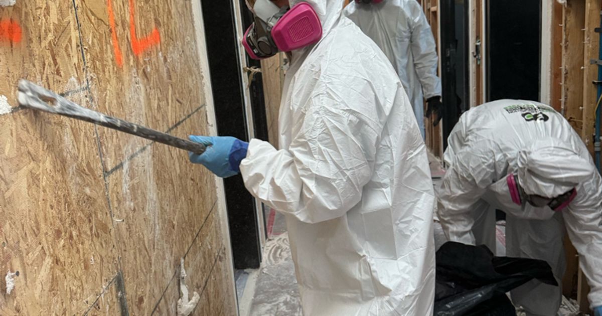 mold restoration work by Go Green Restoration