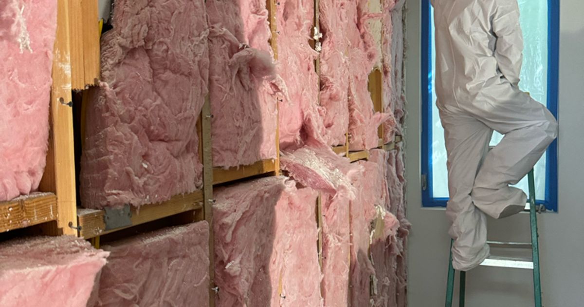 mold restoration work by Go Green Restoration