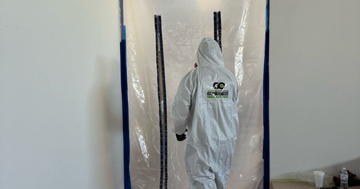 mold restoration work by Go Green Restoration