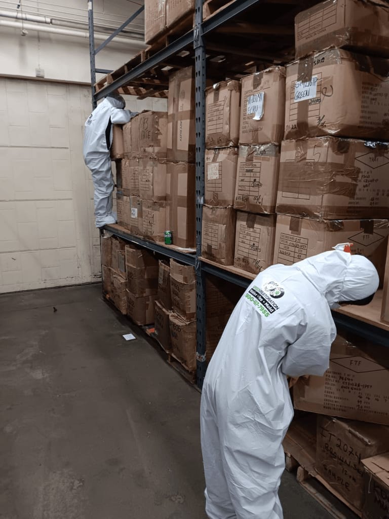 Fire damage restoration - structural repairs after fire