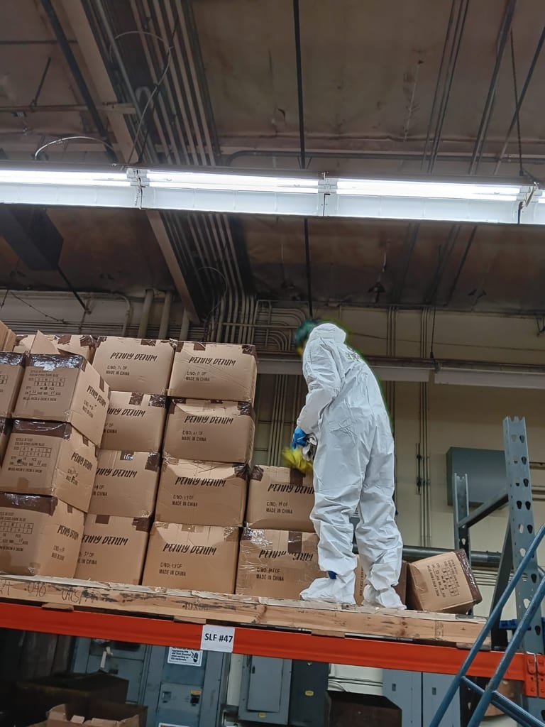 Go Green commercial restoration project
